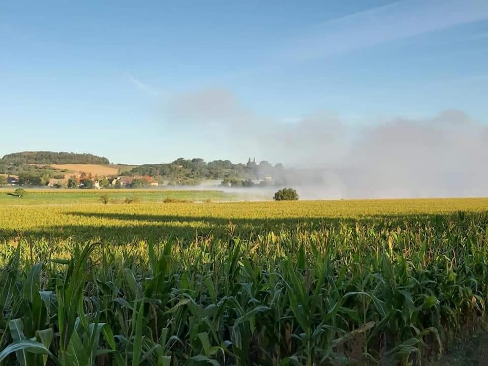 Reiterhof Schmidt, Gaststaette & Pension Golk Bagian luar foto